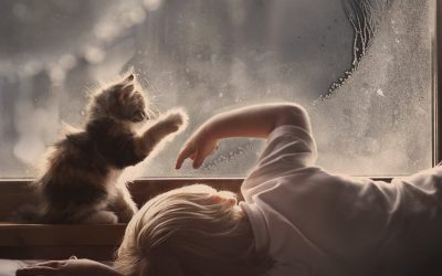 LA FOTÓGRAFA ELENA SHUMILOVA Y EL ARTISTA VISUAL KIYAN FOROOTAN, EN CALLAO CITY ARTS EN DICIEMBRE