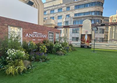 CINES CALLAO _ TERRAZA