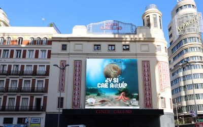 LOTTERIES ANNOUNCES THAT THE CHRISTMAS LOTTERY IS ALREADY ON SALE, IN CALLAO CITY LIGHTS