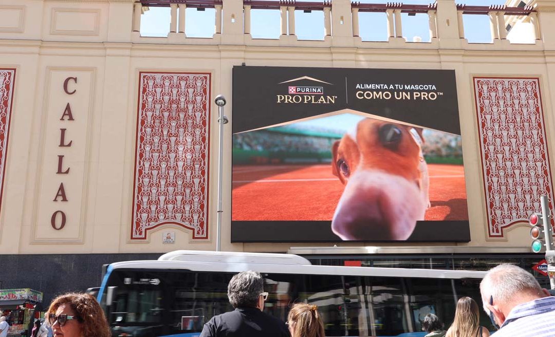 PURINA INVITA A ALIMENTAR A LAS MASCOTAS COMO UN ‘PRO’, EN CALLAO CITY LIGHTS