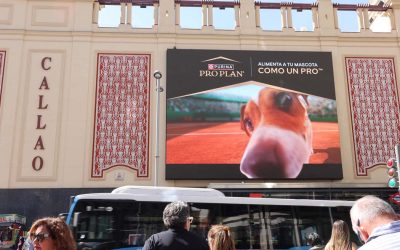 PURINA INVITES YOU TO FEED YOUR PETS LIKE A ‘PRO’ AT CALLAO CITY LIGHTS