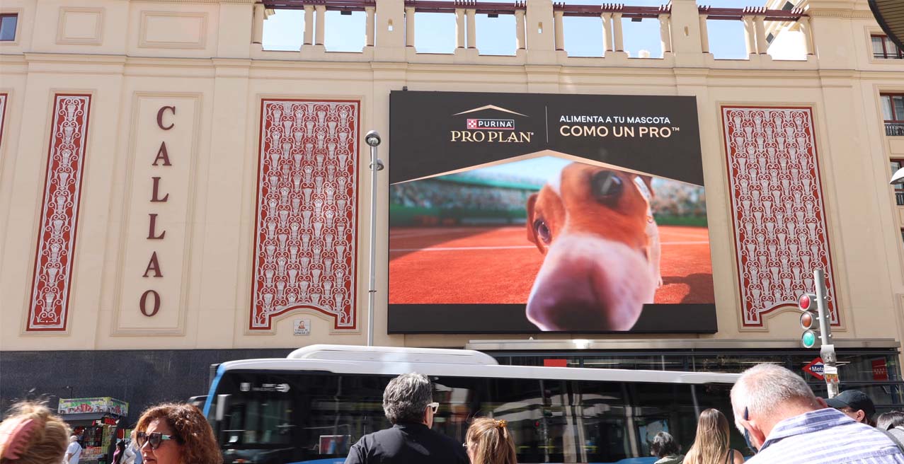 PURINA DOOH MADRID